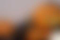 Фотография квеста Экзорцизм Мэри от компании Fox квест (Фото 1)