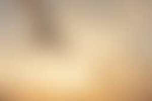 Фотография экшн-игры Путешествие в индейскую деревню от компании Территория IQ (Фото 1)